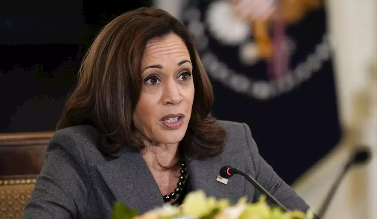 E-q-u-i-t-y: Kamala Harris and the left’s new word for discrimination