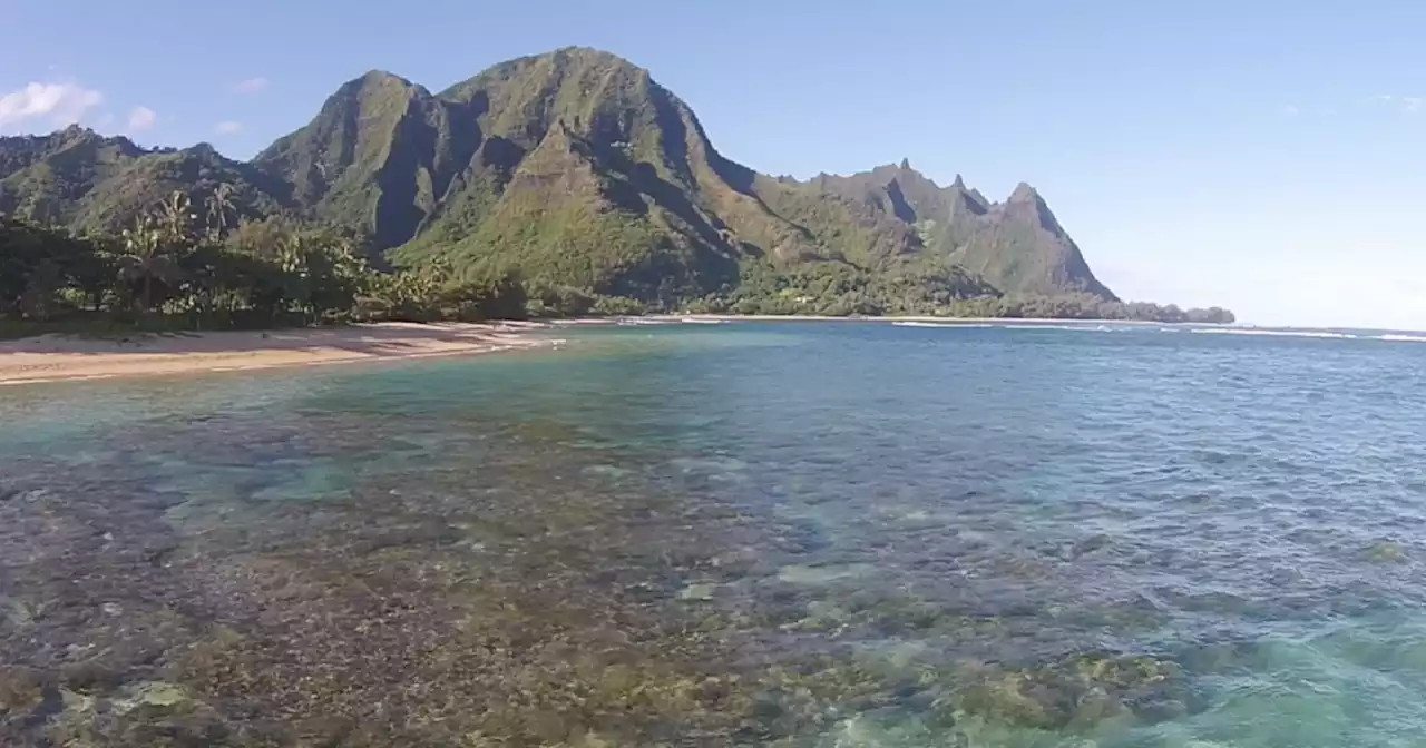 USGS reveals findings on shrinking coral reefs, speak to solutions for erosion