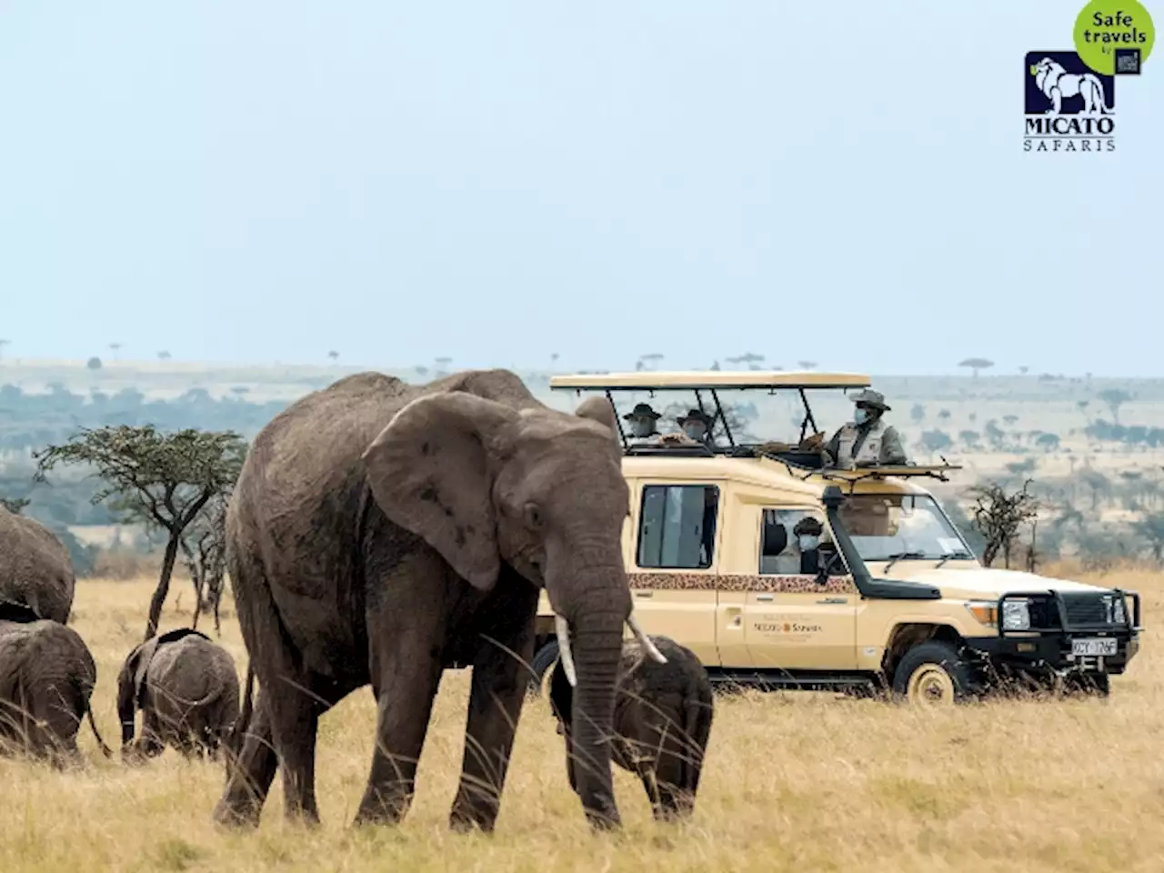Of Course There’s A Safari On Forbes’ Best Bucket List Trips
