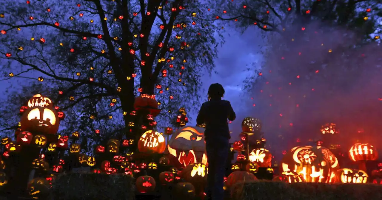 Tips on how to save on Halloween costumes, candy, decor