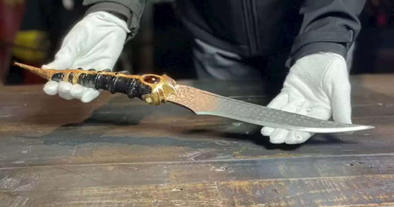 House of the Dragon and Game of Thrones iconic dagger on display in Co Down