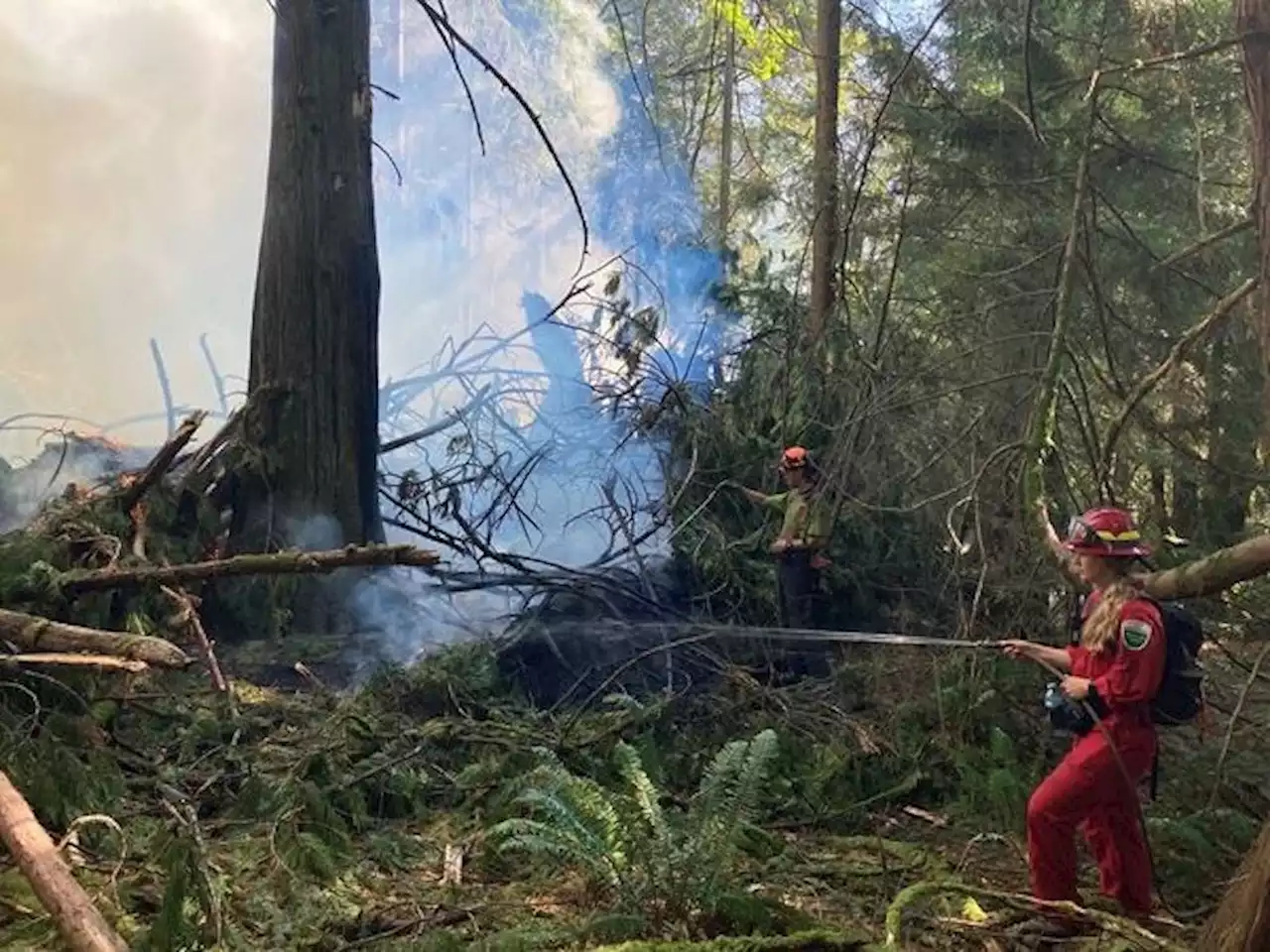 Two more wildfires sparked in Metro Vancouver