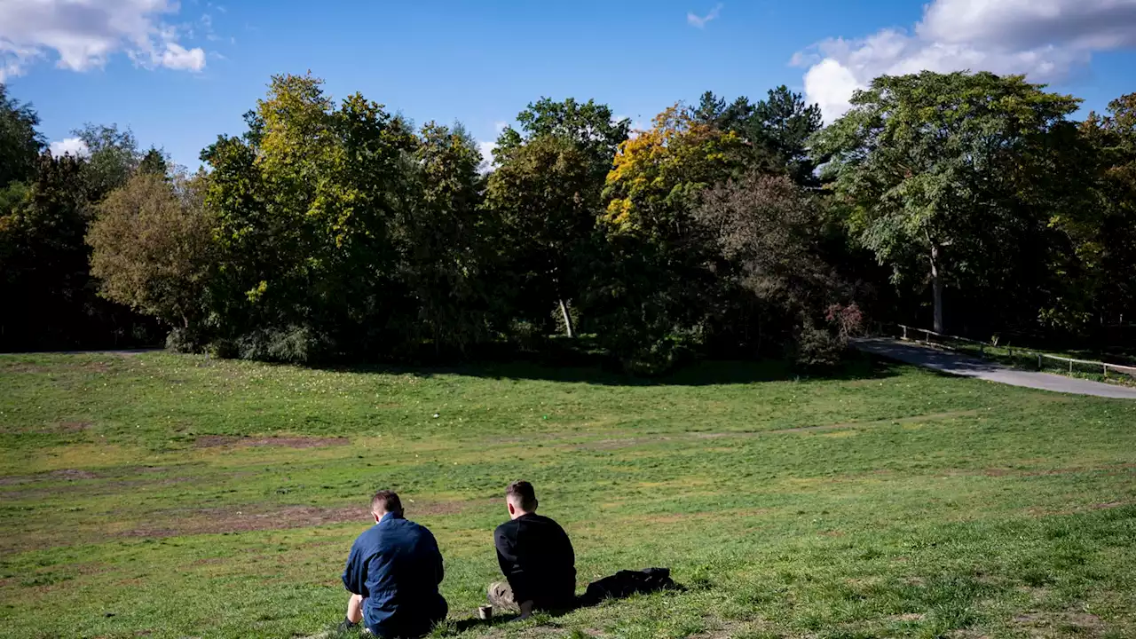 Erst viel Sonne – am Wochenende auch Regen