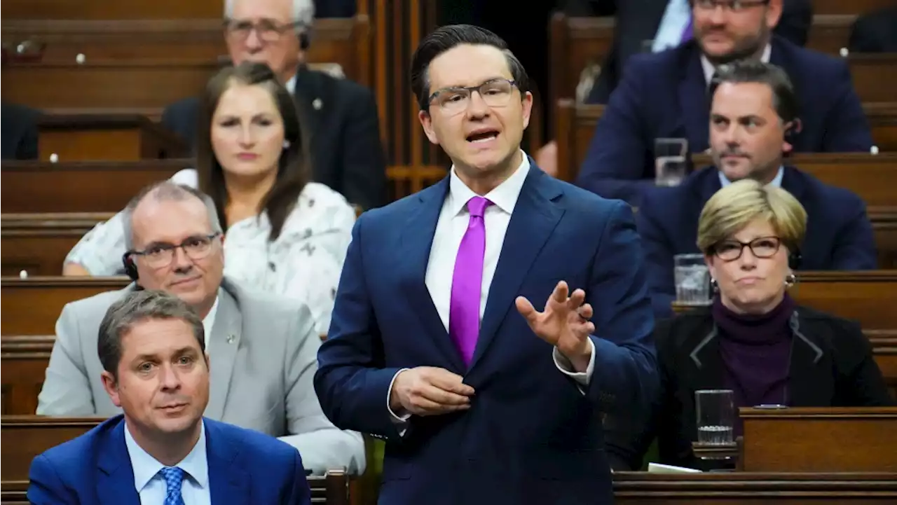 Poilievre condemned for use of YouTube tag targeting 'misogynistic' groups