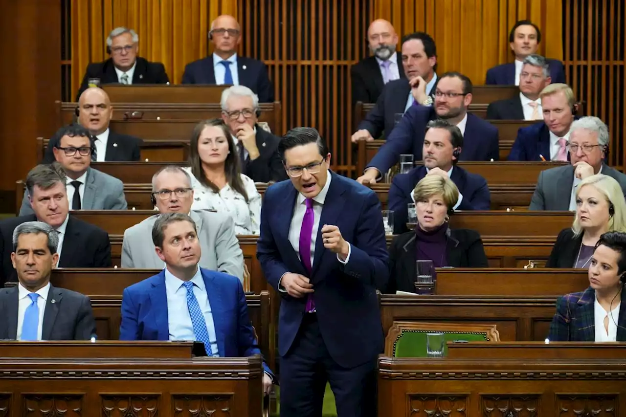 Pierre Poilievre under fire for reported misogynistic tags on YouTube channel