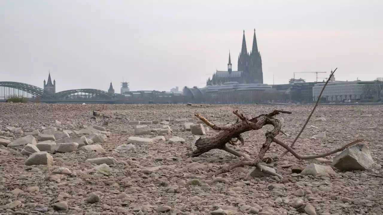 Klimawandel-Studie: Extreme Dürre in Europa alle 20 Jahre wahrscheinlich