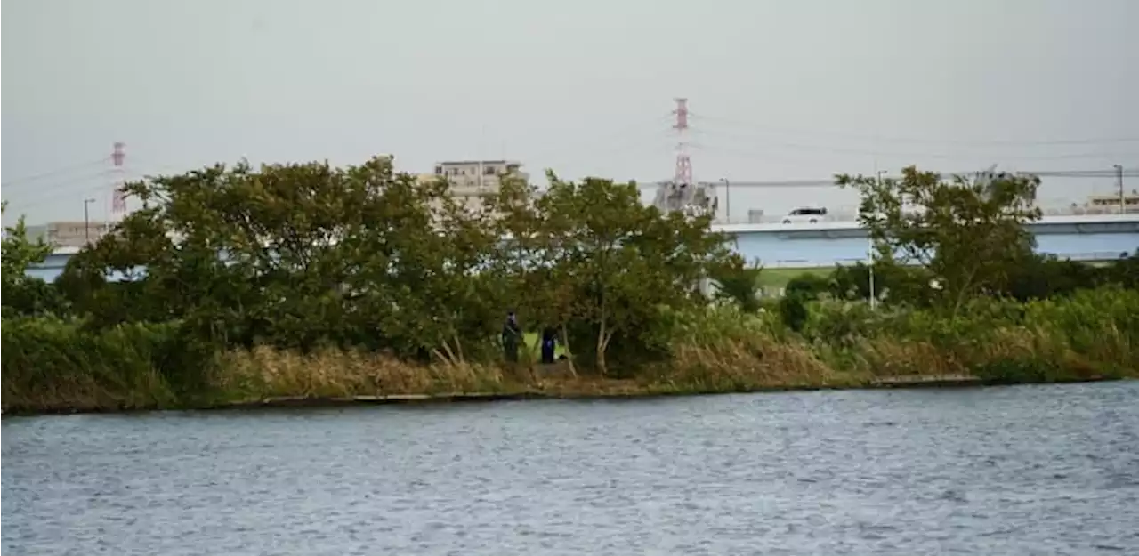 旧江戸川の遺体は行方不明女児 身元判明でも残された多くの謎 - トピックス｜Infoseekニュース