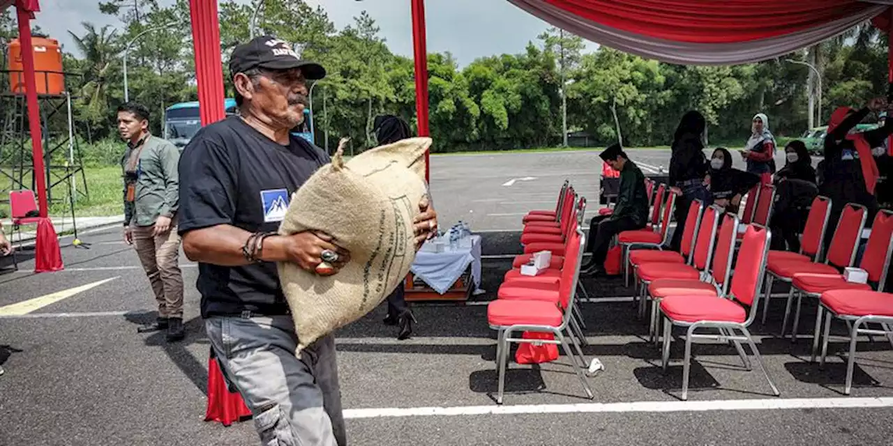 Bisnis UMKM Sering Dipandang Belum Pantas untuk Ekspor, Padahal...