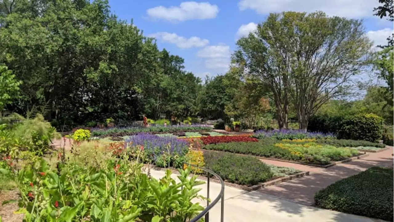 San Antonio Botanical Garden is selling hundreds of plants in annual BOOtanica sale