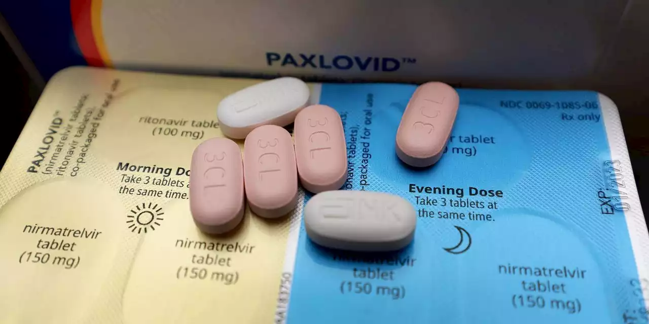 Large number of U.S. COVID deaths could be prevented if patients would take Pfizer's Paxlovid, White House coordinator warns