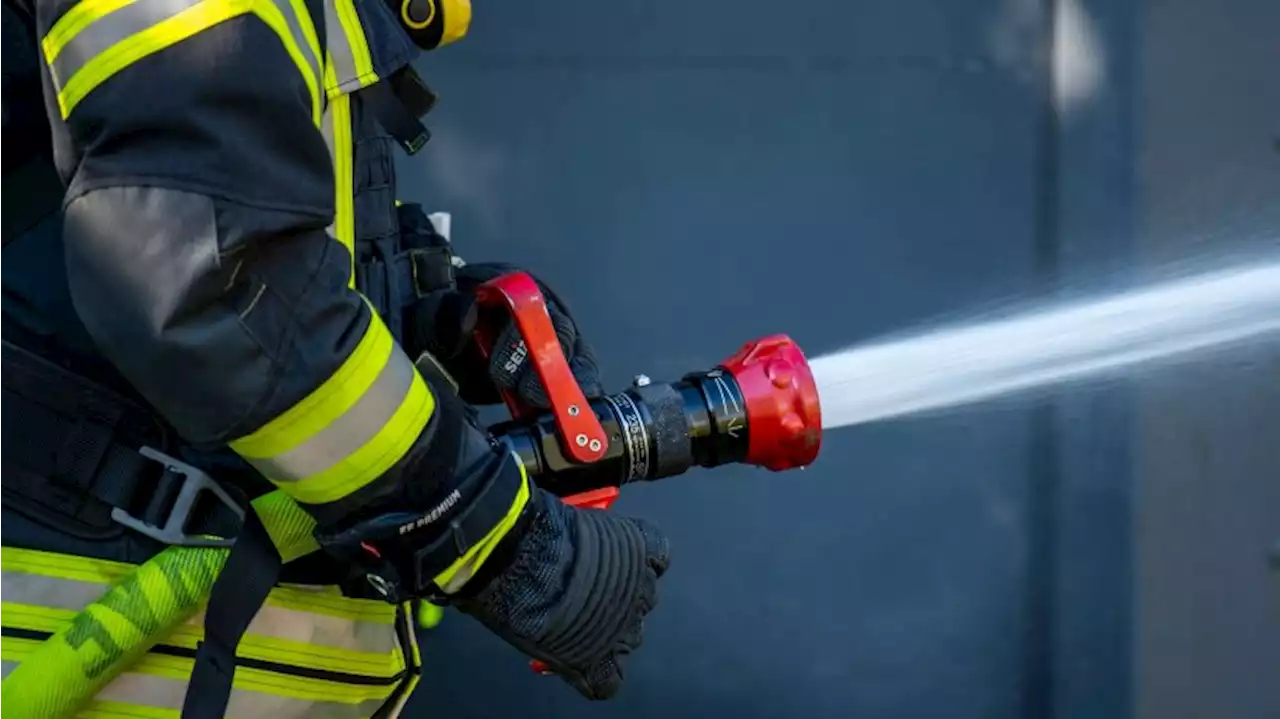 Land pachtet Waldflächen für Bau von 60 Löschwasser-Brunnen