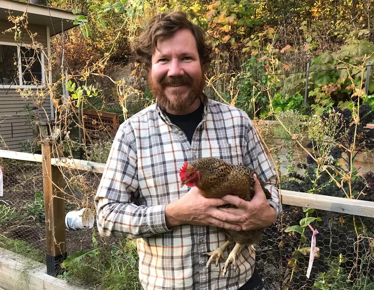 Prince George city council candidate calls for more backyard chickens