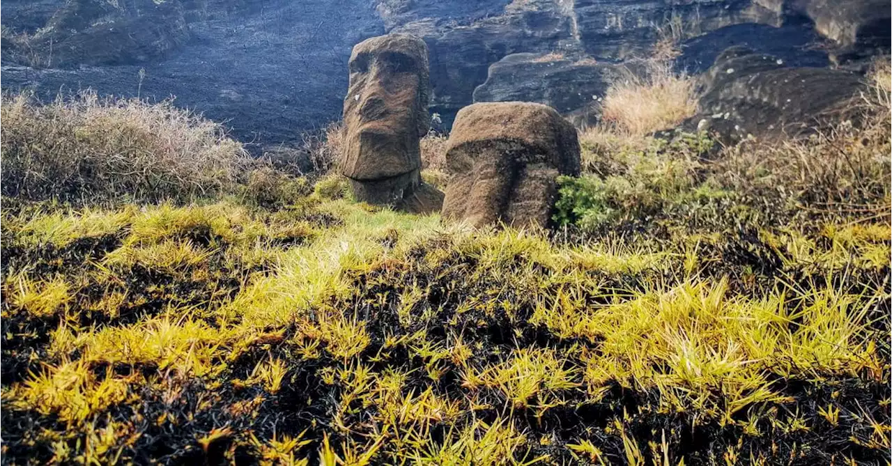 Chile's Easter Island 'Moai' statues face irreparable damage after wildfire