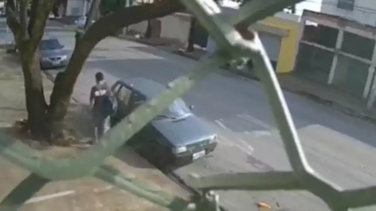 Vídeo Homem Escapa Por Um Triz De Ser Atingido Por árvore