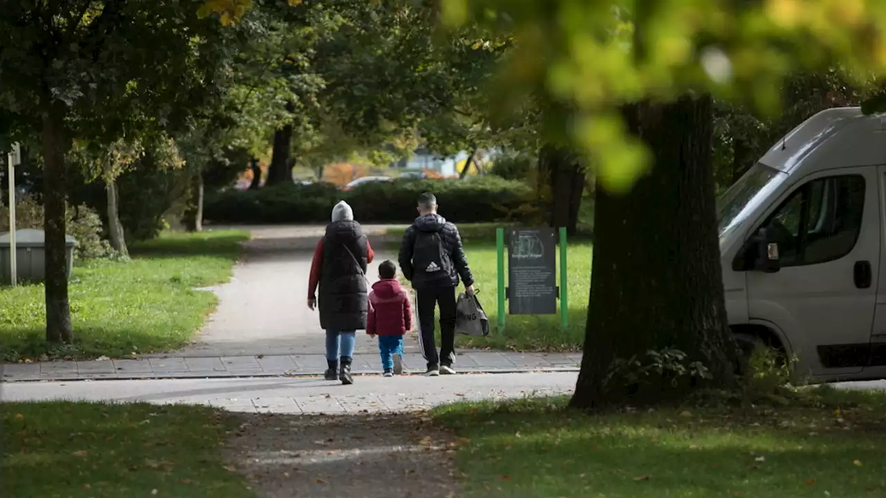 Münchner Klimaherbst: Veranstaltungsreihe für ein besseresStadtklima