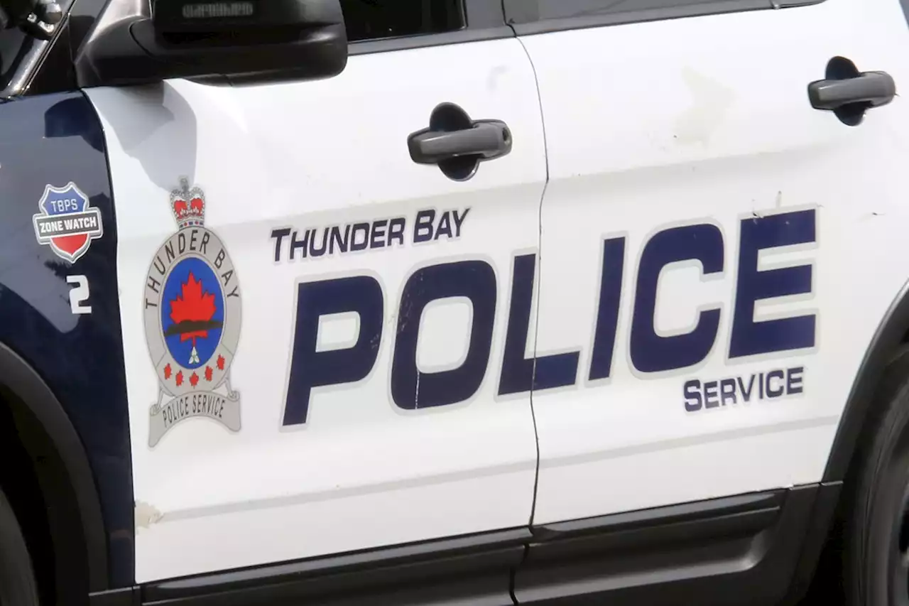 Thunder Bay man arrested on weapons, assault charges