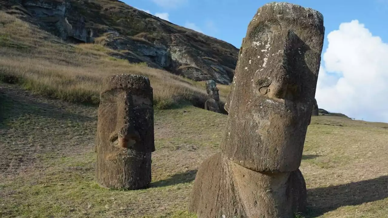 Easter Island Forest Fire Causes ‘Irreparable’ Damage to Giant Head Statues