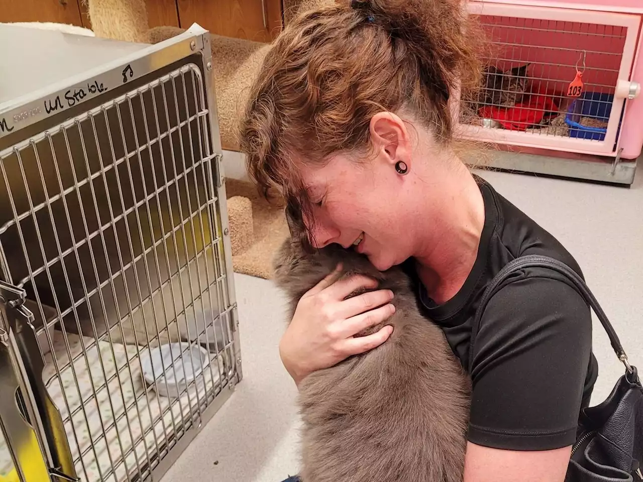 'Reunion of a lifetime': Cat missing for more than three years found in Saskatoon