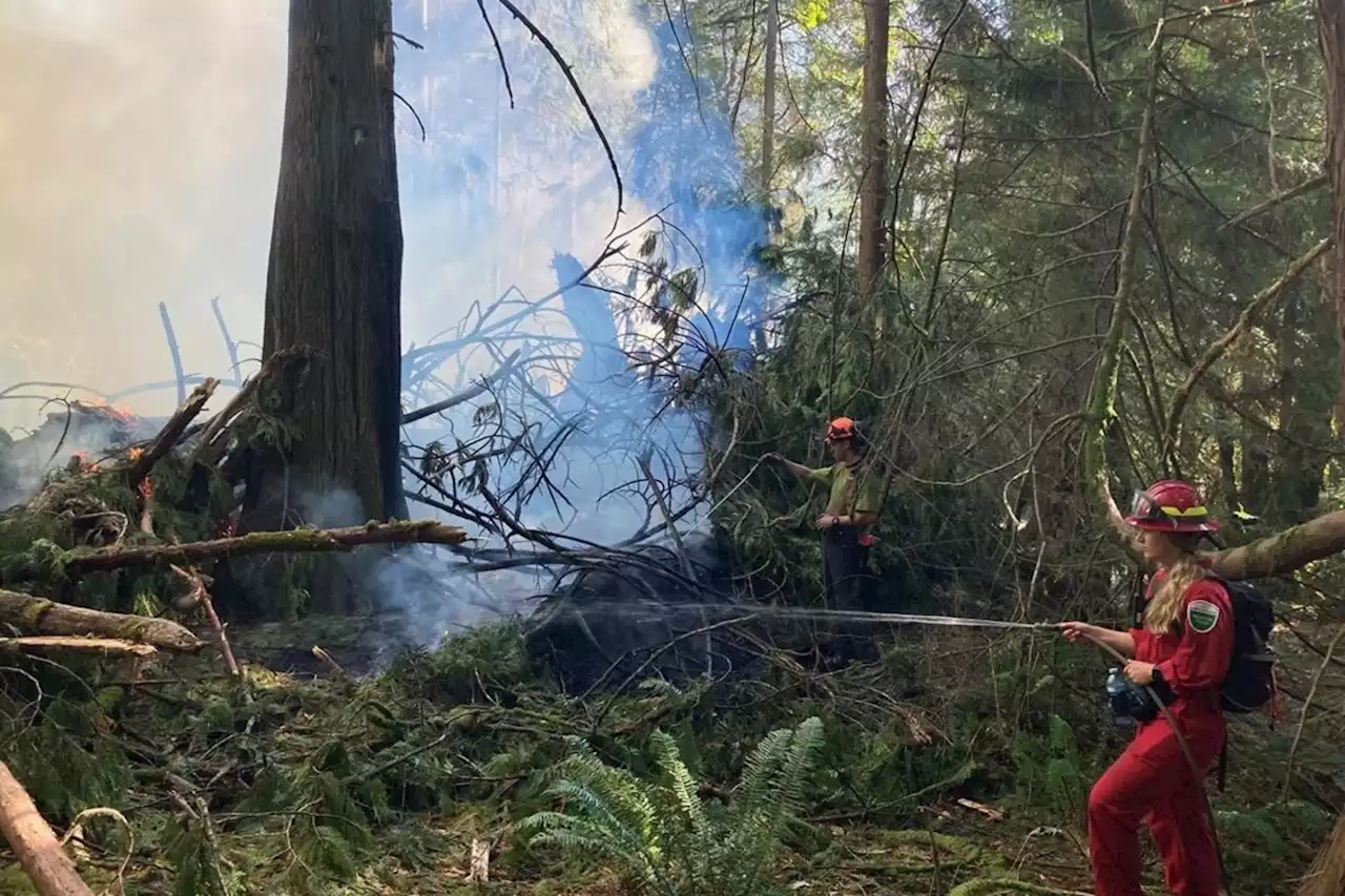 Small wildfire in Metro Vancouver regional park now under control