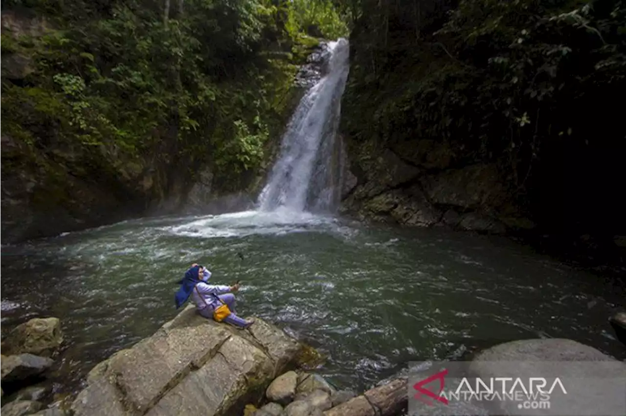 Menyelamatkan Meratus dengan konsep taman bumi