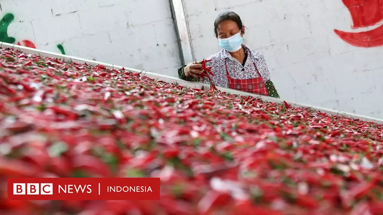 Cabai, kopi, dan teh - apakah makanan ini benar-benar membuat kenyang lebih lama? - BBC News Indonesia