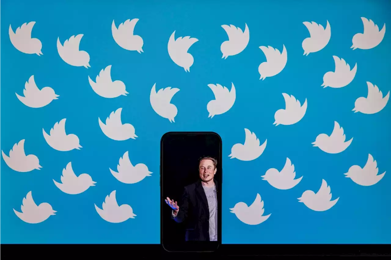 Mit Twitter wird Elon Musk endgültig zum Global Player