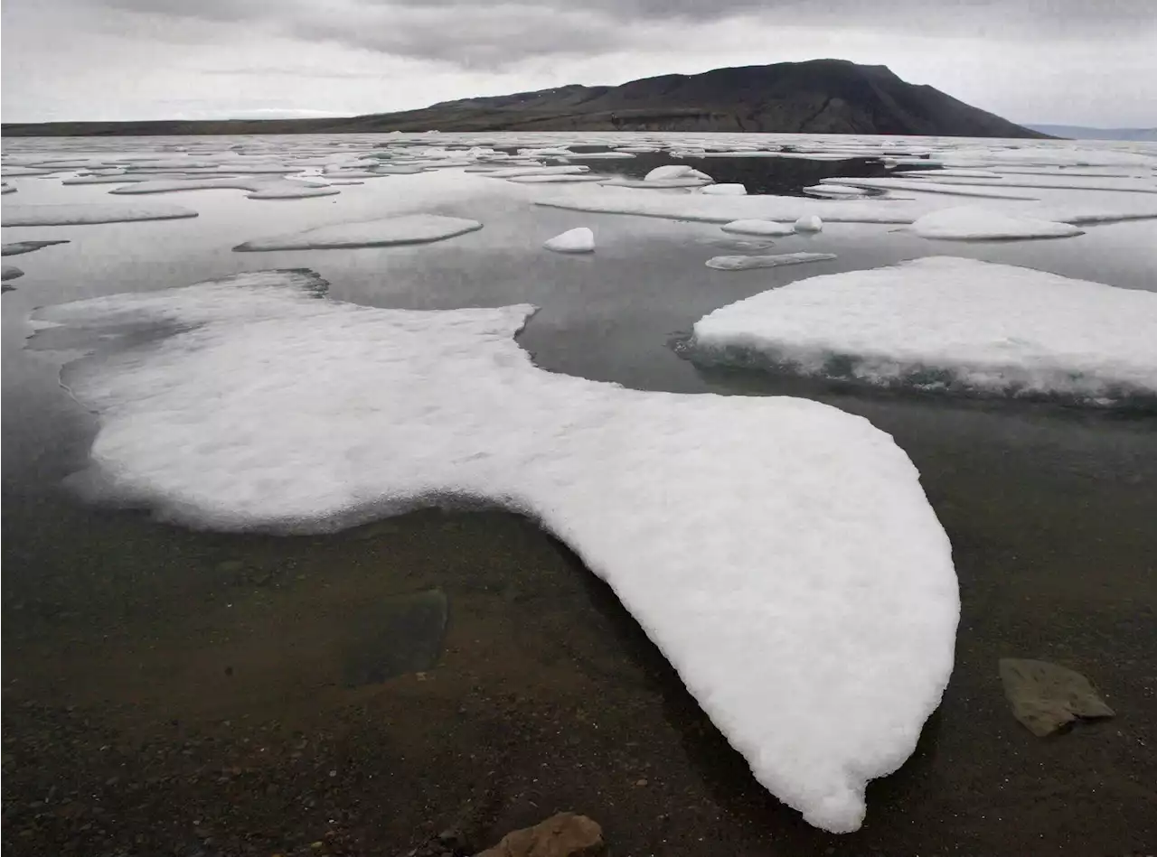 'Arrival of a new Arctic': Study predicts Arctic rainy days will double by 2100