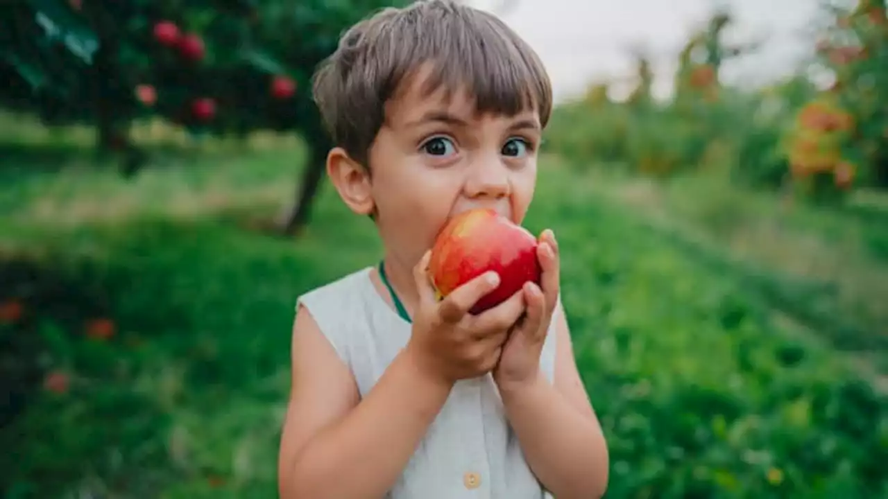 Harvard brain expert to parents: 'These 6 foods will help your kids stay sharp and mentally focused'