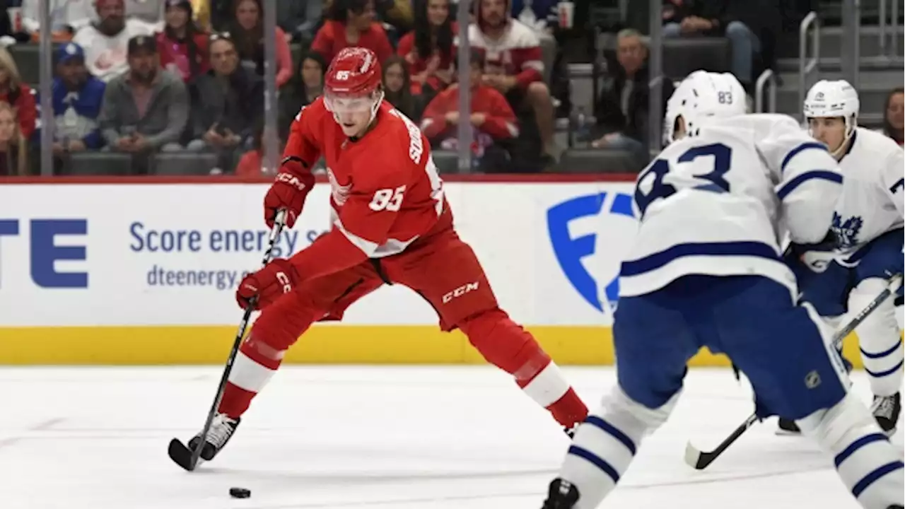 Red Wings rally to dump visiting Maple Leafs 4-2 in pre-season tilt