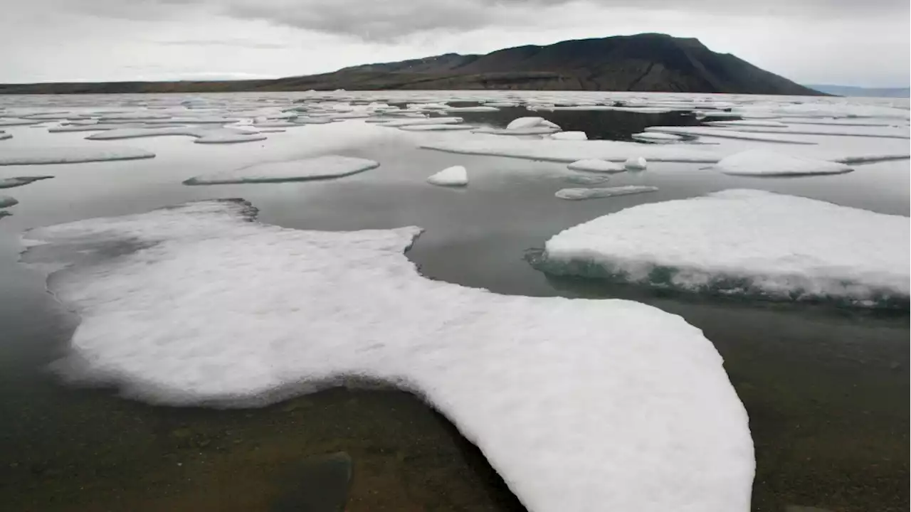 'Arrival of a new Arctic': Study predicts Arctic rainy days will double by 2100