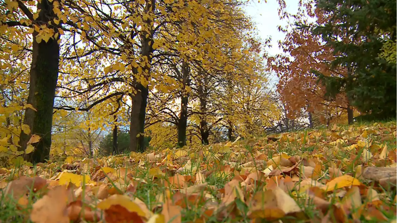 A cool fall Saturday in Ottawa