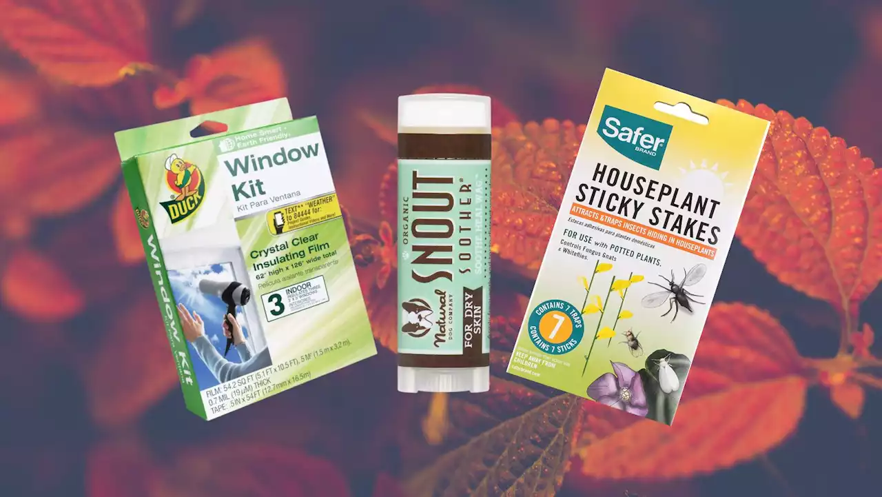 35 Helpful Things Reviewers Said They Bought Specifically For Fall