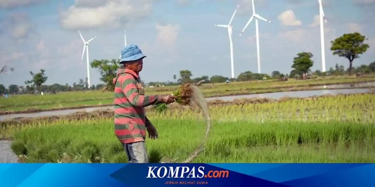 Hadapi Ancaman Krisis Pangan, Kementan Perkuat Swasembada Beras dan Subtitusi Pangan