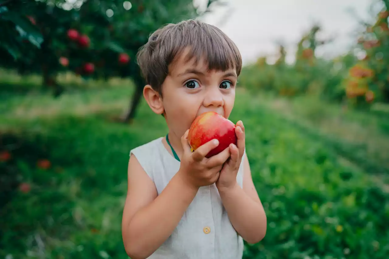 A Harvard Nutritionist Shares 6 Brain Foods That Will Help Your Kids Stay ‘Sharp and Focused'