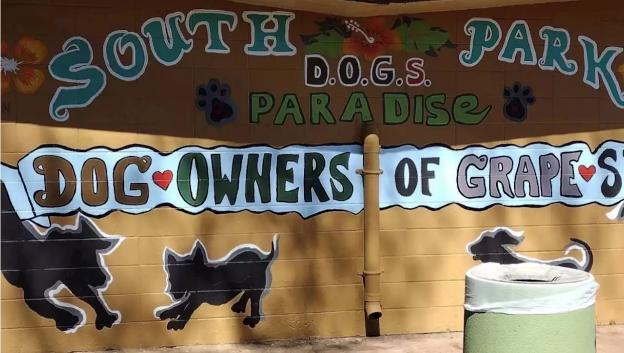 Community Howls After San Diego Dog Park Mural is Painted Over