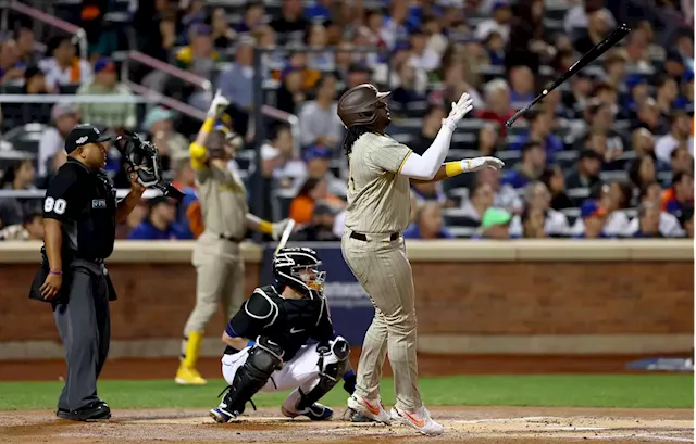 Emma Stone Gets Booed at Padres–Mets Game