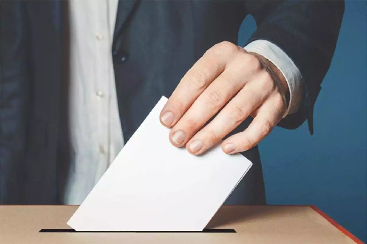 Terrace advance poll draws more than 200 voters – Terrace Standard