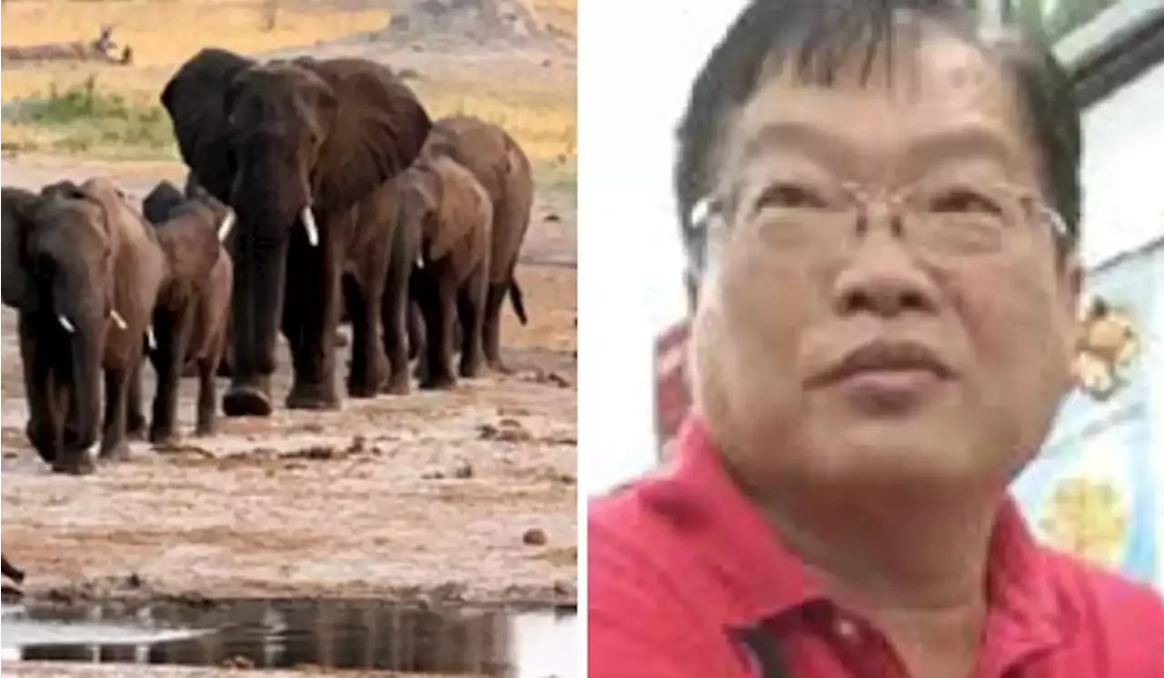 Malaysian 'Datuk Seri' Sanctioned By The US For Organised Crime And  Wildlife Trafficking | TRP