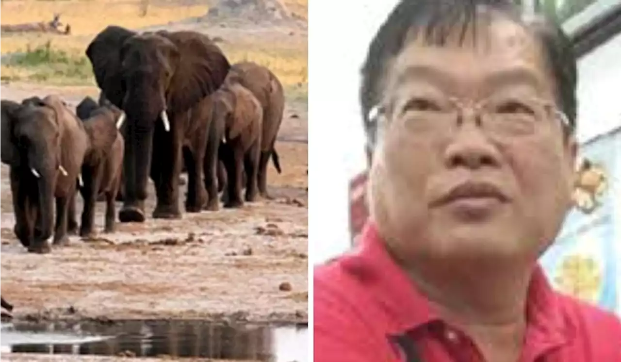 Malaysian 'Datuk Seri' Sanctioned By The US For Organised Crime And Wildlife Trafficking | TRP