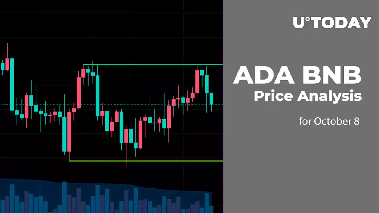 ADA and BNB Price Analysis for October 8