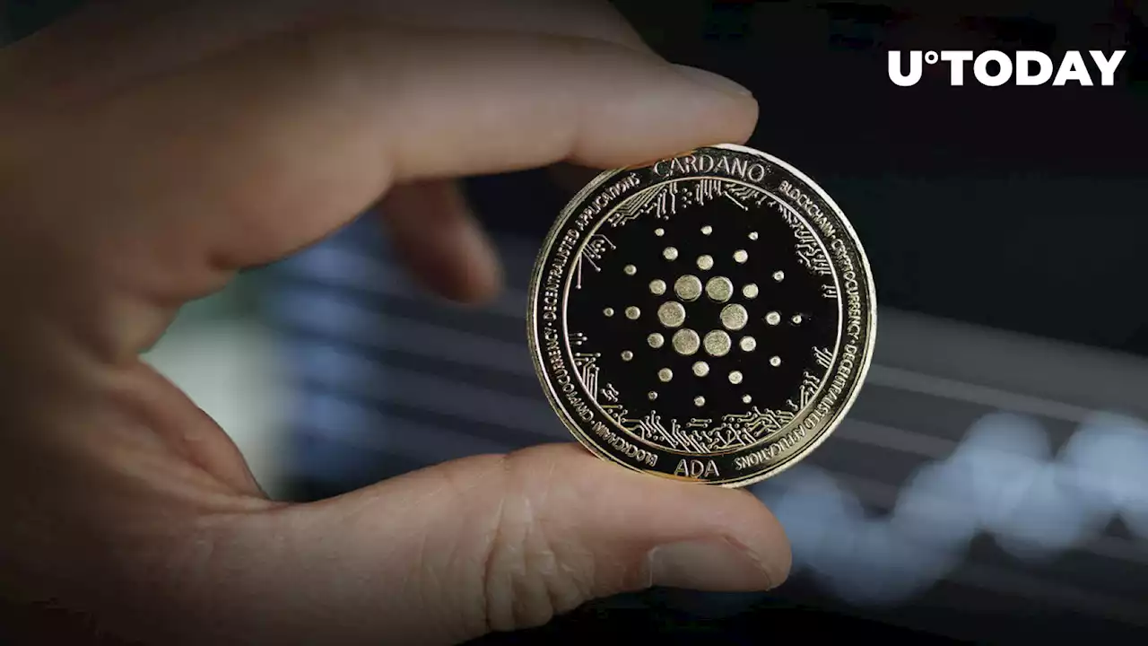 Cardano Performance Changed Significantly After Vasil Hard Fork, Here Are Detailed Insights