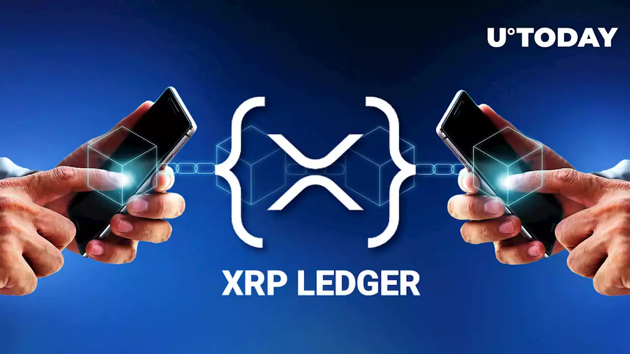 Here's How To Build XRPL Smart Contracts on Testnet