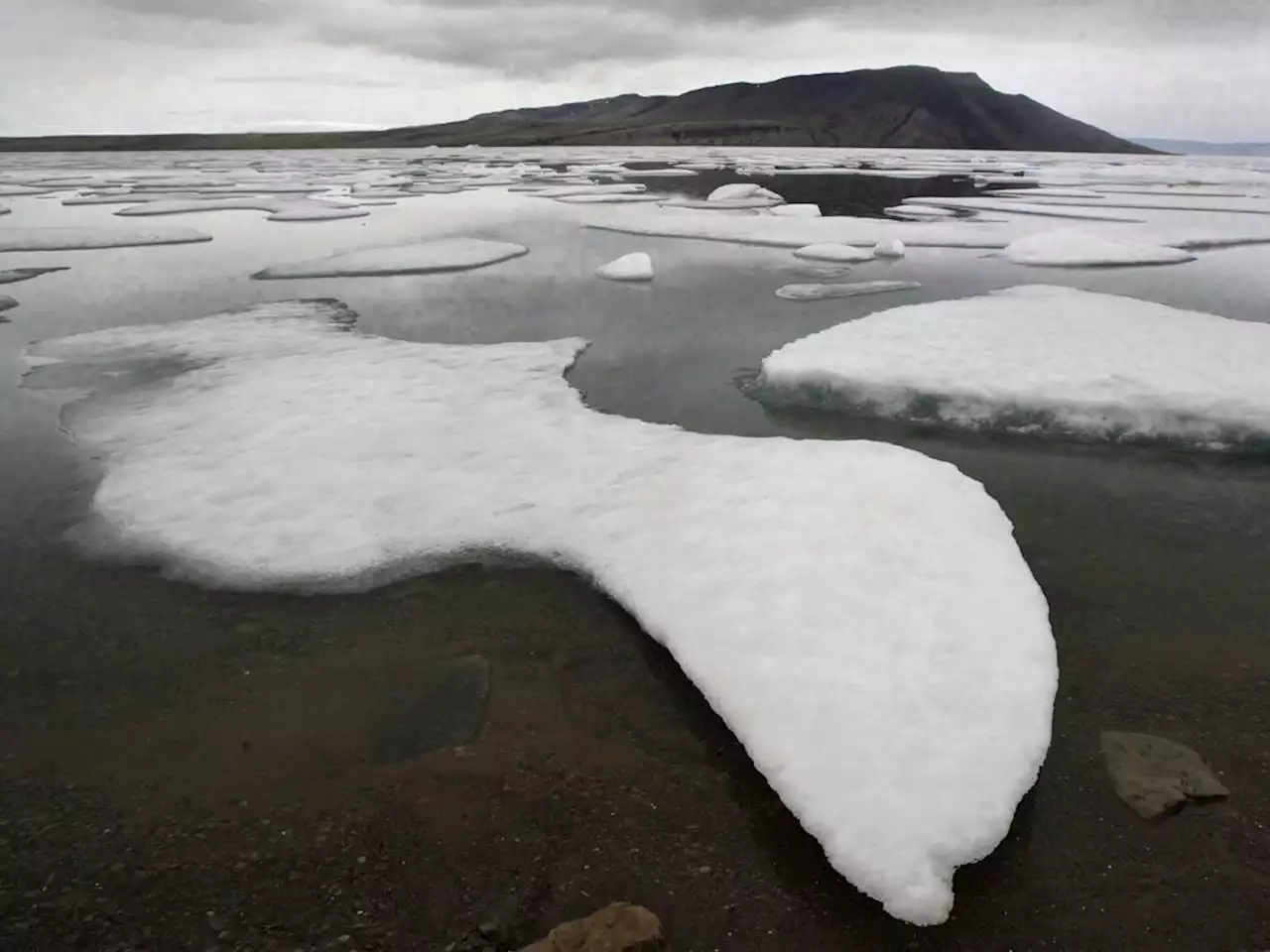 'Arrival of a new Arctic': Study predicts Arctic rainy days will double by 2100