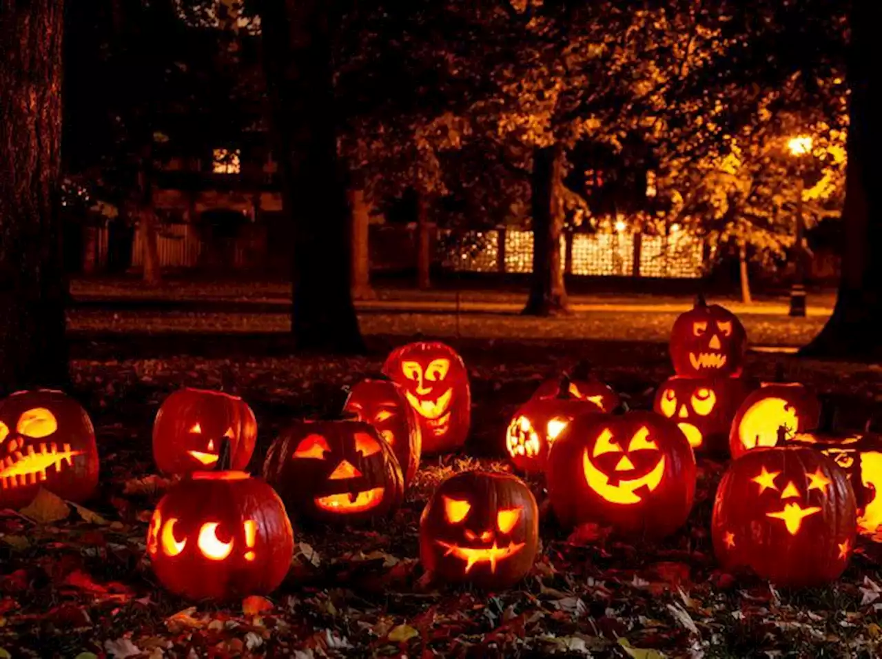 Halloween 2022: 13 spooky (and not-so-spooky) things to do in Metro Vancouver