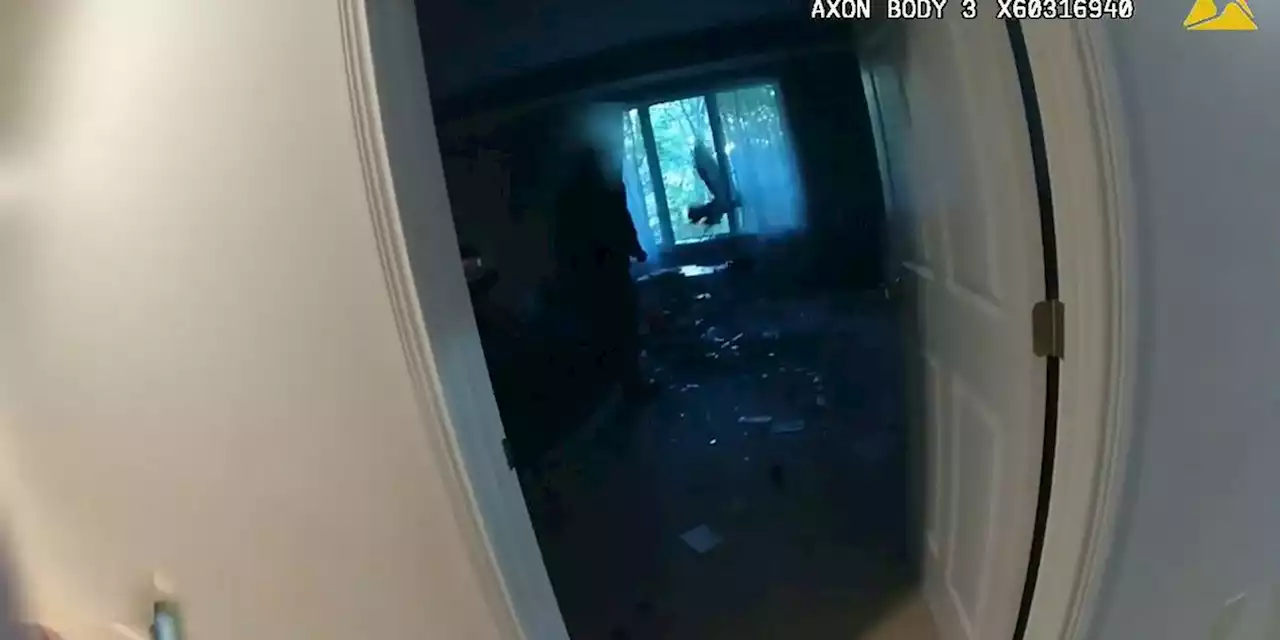 ‘Unbelievably wild’: Turkey breaks into home, evades police capture