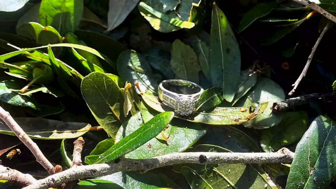 Lost wedding ring found in brush pile after Hurricane Ian