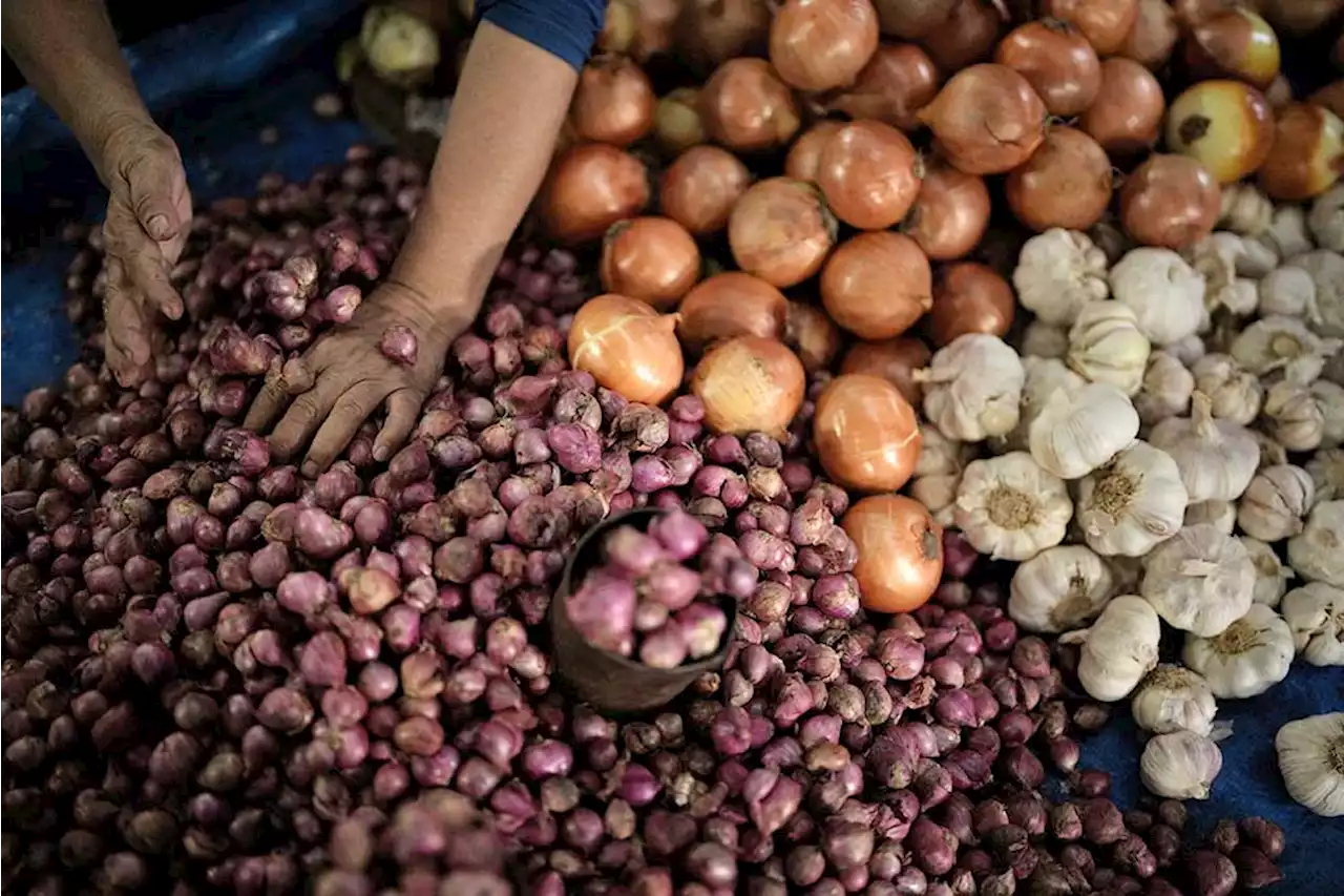 Harga Pangan Hari Ini, 9 Oktober: Harga Bawang dan Daging Ayam Kompak Naik