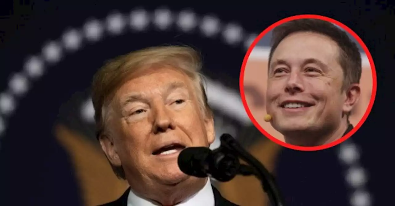 'Rightwing Echo Chamber:' Elon Musk Bashes Donald Trump’s Truth Social