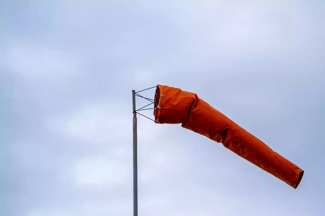 Weather alert: 'First wind event' of fall to hit Metro Vancouver Monday