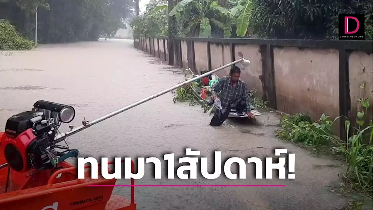 อดทนยอมรับ! อุทัยธานีอ่วมมวลน้ำ 'แม่น้ำสะแกกรัง-เจ้าพระยา' ท่วมมา 1 สัปดาห์ | เดลินิวส์